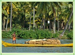 Kerala Backwaters