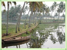 Kottayam Backwaters