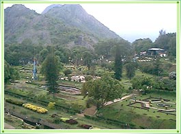 Malampuzha Garden Palakkad