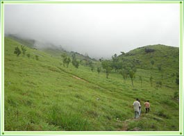 Ponmudi Hill Station Trivandrum