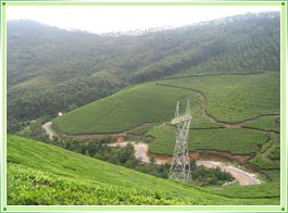 Anaimudi Peak Munnar