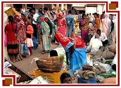 Madhya Pradesh Cultural Tour