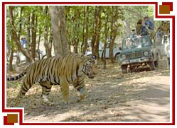 Kanha National Park