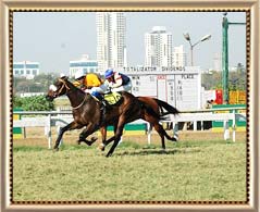 Mahalakshmi Racecourse