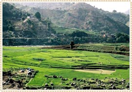 Birganj in Nepal