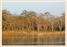 Chitwan National Park