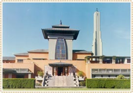 Nepal King Palace