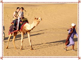 Camel Safari in Rajasthan