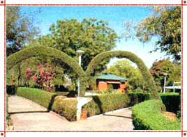 Chambal Garden in Rajasthan