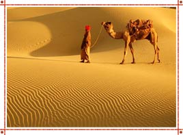 Rajasthan Desert