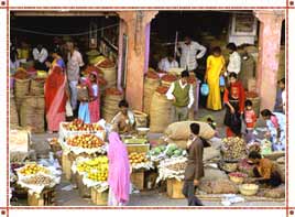 Shopping in Rajasthan