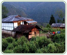 Sikkim Accommodation