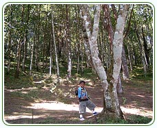 Nehru Botanical Garden