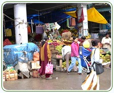 Shopping in Sikkim