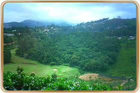 Coonoor Climate