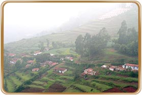 Coonoor Hill Station Tamilnadu