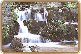 Siruvani Waterfalls Coimbatore