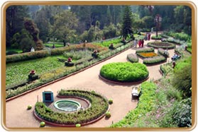 Botanical Garden Nilgiri Hills