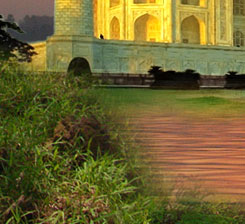Taj Mahal