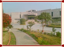 IIIT Allahabad