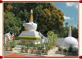 Maha Vihara Stupa Sharvasti