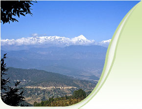 Almora Weather