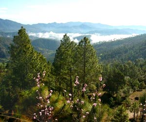 Almora, Uttarakhand