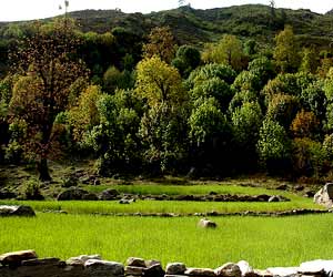 Govind National Park , Uttarakhand