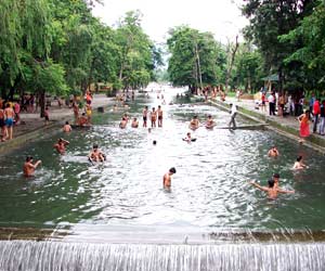 Guchhupani, Dehradun