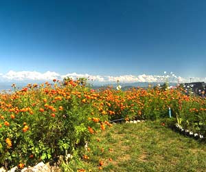 Mukteshwar, Nainital