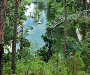 Rani Jheel, Ranikhet