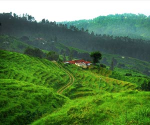 Kausani, Ranikhet