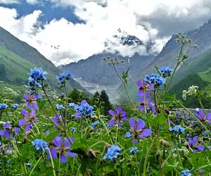 Valley of Flowers, Uttarakhand