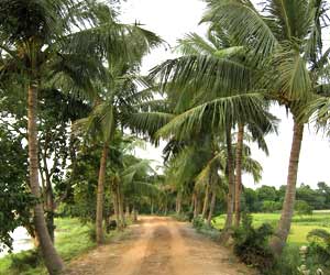 Bardhaman Weather