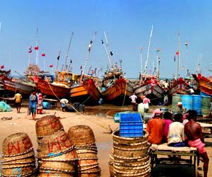 Fishing in Digha