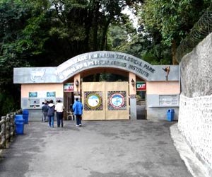 Padmaja Naidu Himalayan Zoological Park 