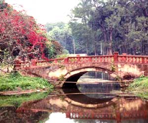 Indian Botanic Garden
