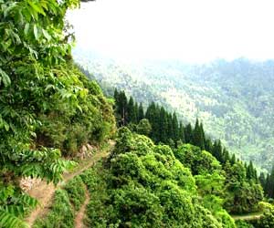 Neora Valley National Park