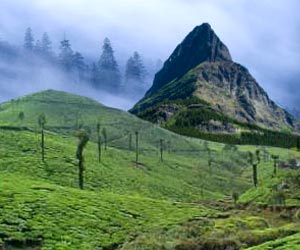 Sandakphu