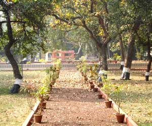 Shantiniketan Weather