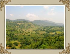 Anantagiri Hills Visakhapatnam