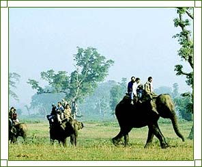 Assam Tourist Attractions