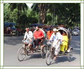 Local Transport in Assam