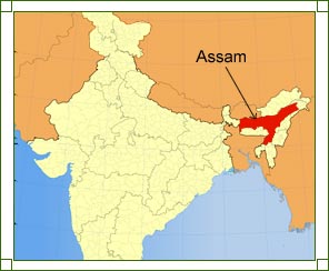 Location of Assam