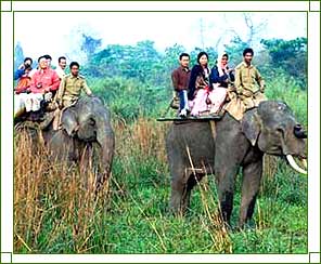 Tourist Guides in Assam