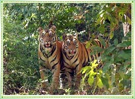 Bhimbandh Wildlife Sanctuary