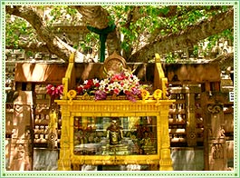 Bodhi Tree