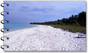 Beach, Andaman Nicobar