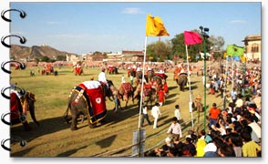 Jaipur Elephant Festival