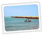 Rishikonda Beach, Andhra Pradesh